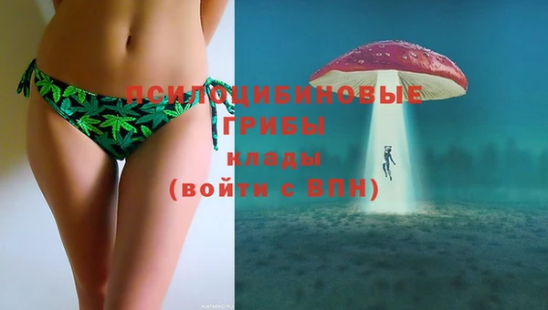 прущая мука Абаза